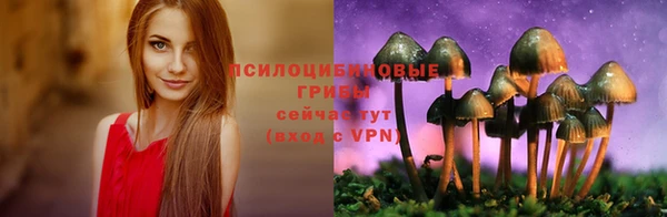 дурь Верхнеуральск