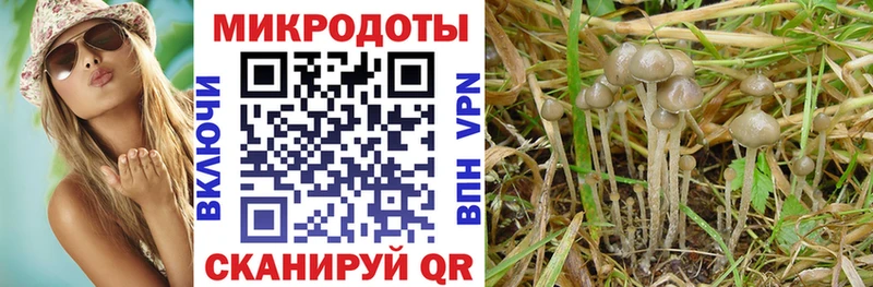 Галлюциногенные грибы мухоморы  Вологда 